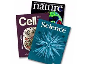 「辉骏客户文章」Nature Communications| P300/YY1/miR-500a-5p/HDAC2信号轴调节结直肠癌癌细胞增殖