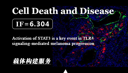 Fu X.Q. et al: Activation of STAT3 is a key event in TLR4 signaling-mediated melanoma progression