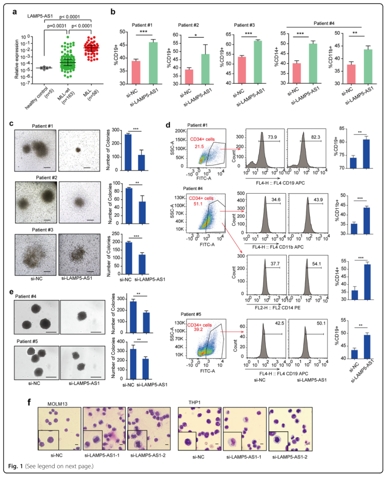 RNA pull down MS结合蛋白鉴定-客户文献-辉骏生物.png