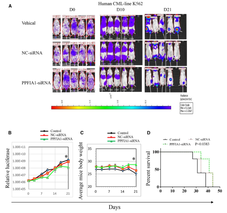 SILAC实验、Co-IP技术服务-客户文献-辉骏生物.png