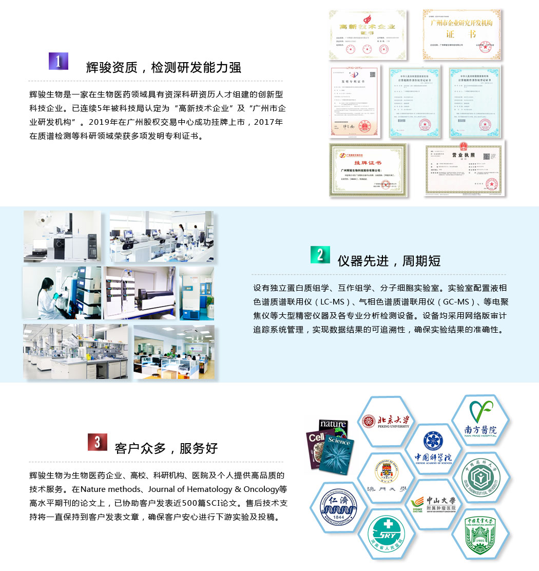 抗体测序技术服务,抗体测序公司-辉骏生物抗体测序价格低,服务好,实验周期短