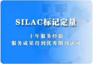 SILAC标记定量