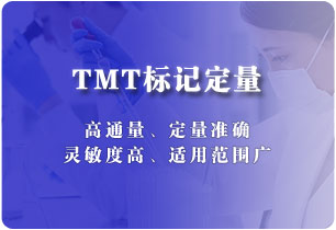 TMT标记定量