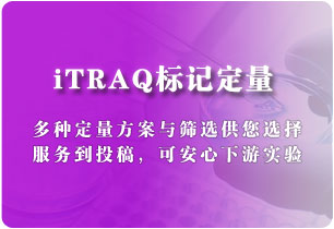 iTRAQ标记定量