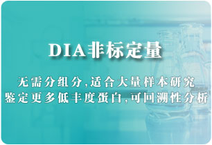 DIA非标定量