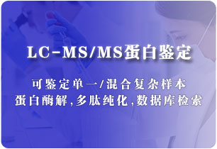 LC-MS/MS蛋白鉴定