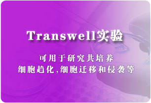 Transwell