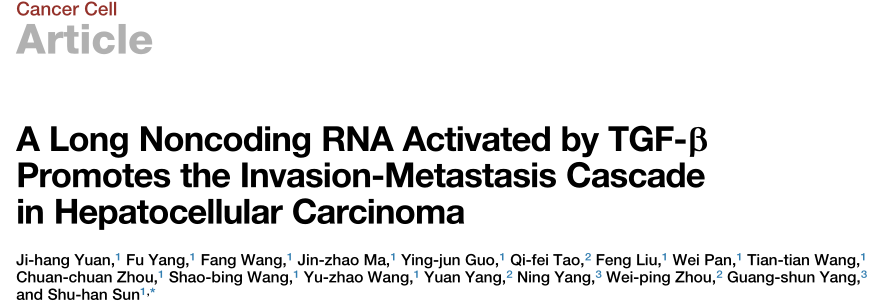 lncRNA-miRNA互作文献图.png