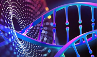 用于修复遗传性肾病的常见遗传原因的新型 DNA 修复工具