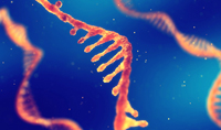 lncRNA被确定为肺癌潜在的新诊断和治疗靶点