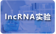 lncRNA实验.png
