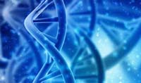 用于体内基于 DNA 的信息重写的新型双质粒编辑系统