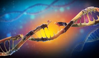 研究描述了DNA损伤如何影响神经健康和功能