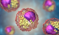 纳米粒子对巨噬细胞的毒性作用