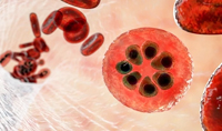 下一代单克隆抗体可预防疟疾