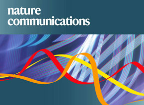 「辉骏客户文章」Nature Communications| 中科院团队新成果揭示乙肝病毒与肝癌关系的新机制