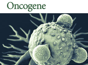 「辉骏客户文章」Oncogene| 质谱技术筛查鼻咽癌中lncRNA的结合蛋白