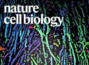 「辉骏客户文章」Nature Cell Biology| 质谱检测技术助力体细胞重编程研究