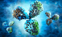 抗体的新特性：轻链一致性的研究报告