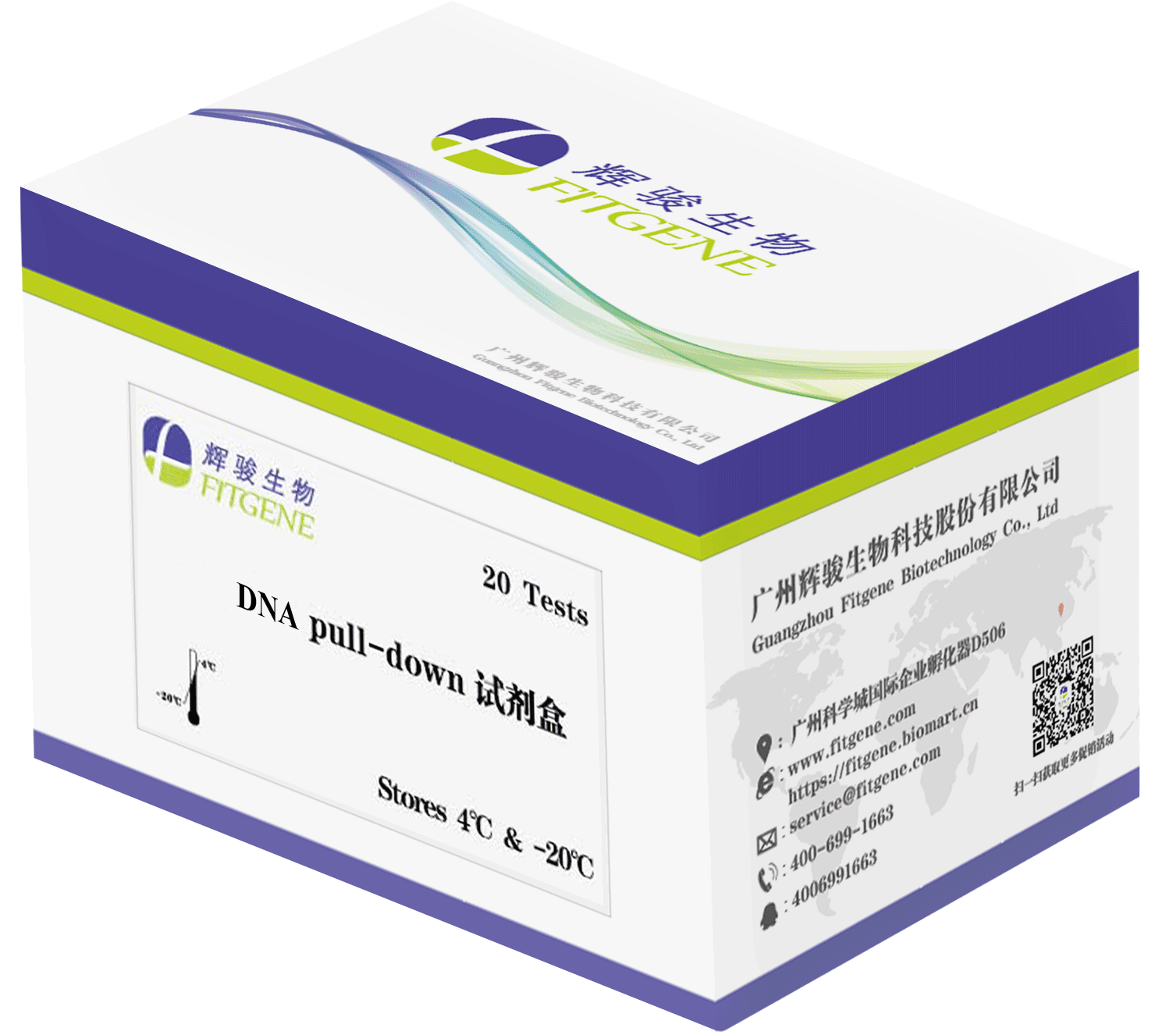 辉骏生物DNA pulldown试剂盒