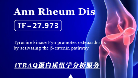 Li K. et al: Tyrosine kinase Fyn promotes osteoarthritis by activating the β-catenin pathway