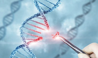 研究人员使用sgRNA/dCas 9复合物在几个基因的启动子区域中展示了靶向表观基因组编辑