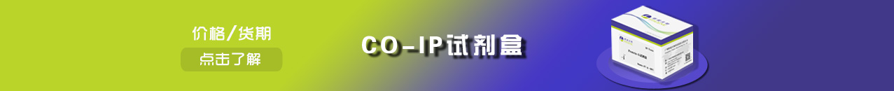 免疫共沉淀试剂盒-亲和效率高/价格低-辉骏生物试剂盒供应商