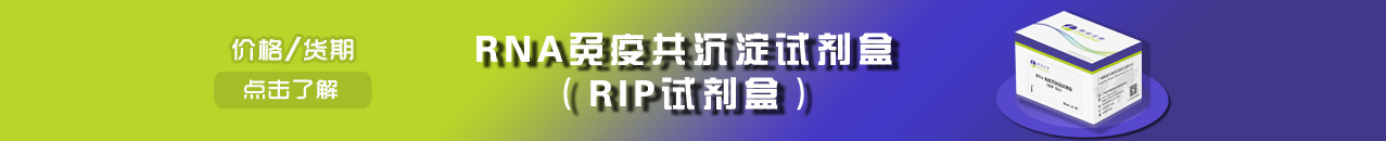 RIP试剂盒-亲和率高/适用广泛/价格低-辉骏生物RNA免疫共沉淀试剂盒