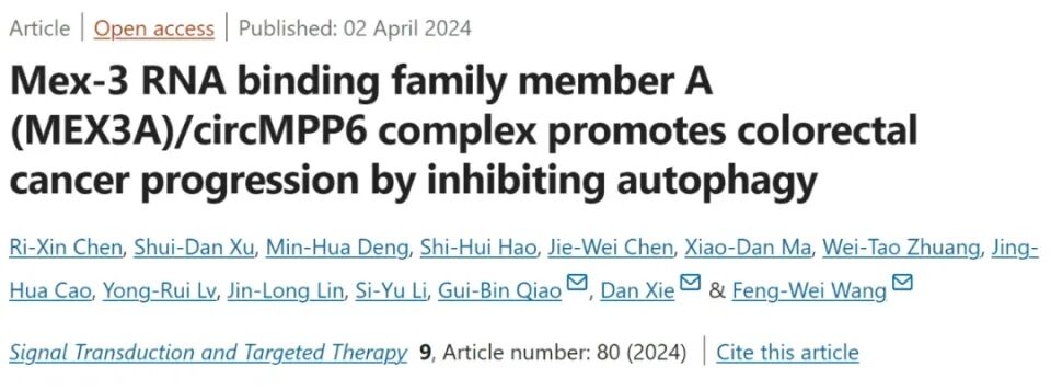 IP MS结合蛋白鉴定实验-IF=40.8客户高分文献-辉骏生物蛋白质谱鉴定实验外包