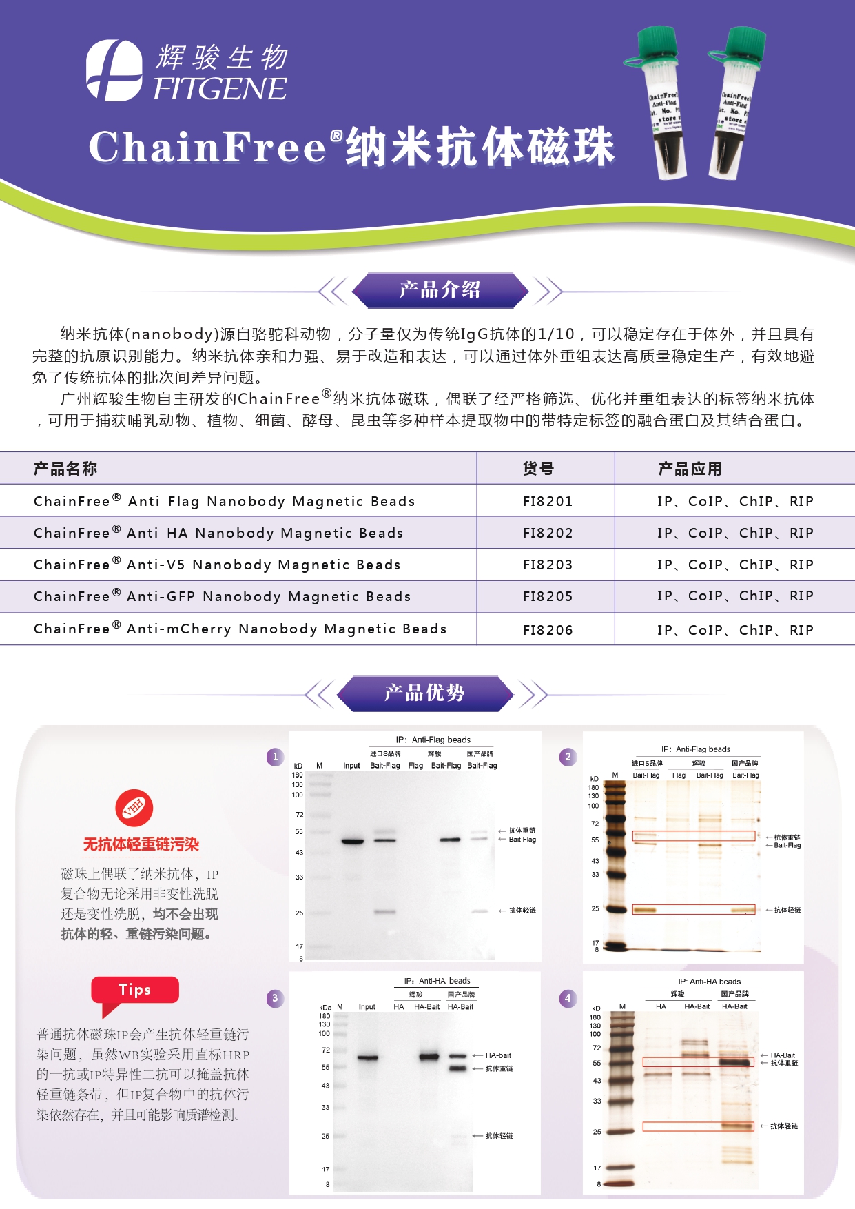辉骏生物ChainFree®标签纳米抗体磁珠(Flag、HA、V5、GFP、mCherry)-无轻重链污染-亲和力强