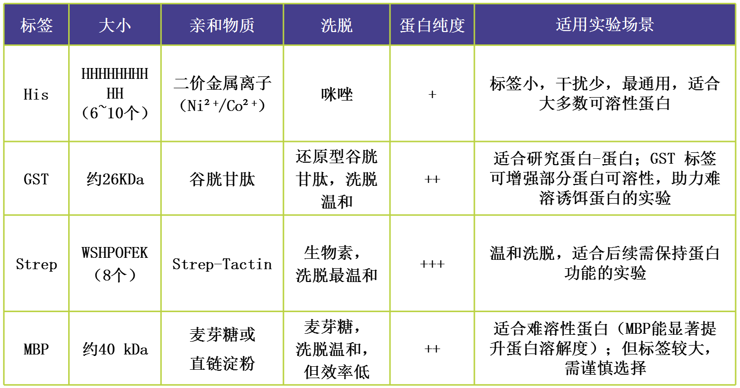 辉骏生物4种亲和标签对比，分别为：His、GST、Strep、MBP，专业提供各类型标签蛋白试剂盒.png