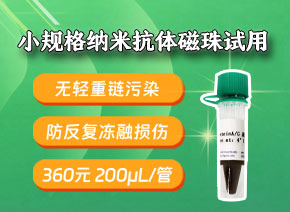 360元200μL小规格抗体磁珠-无轻重链污染磁珠试用-低价高效