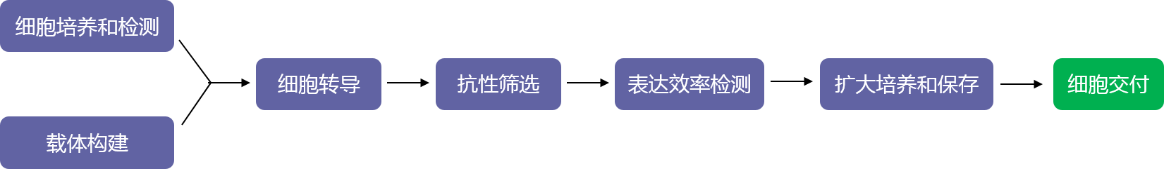 基因表达稳转株构建（转座子系统）实验流程-辉骏生物.png