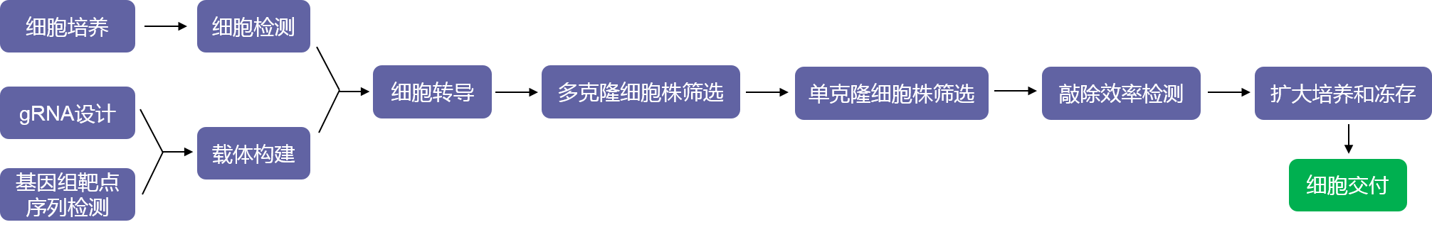 基因敲除单克隆细胞株构建实验流程-辉骏生物.png
