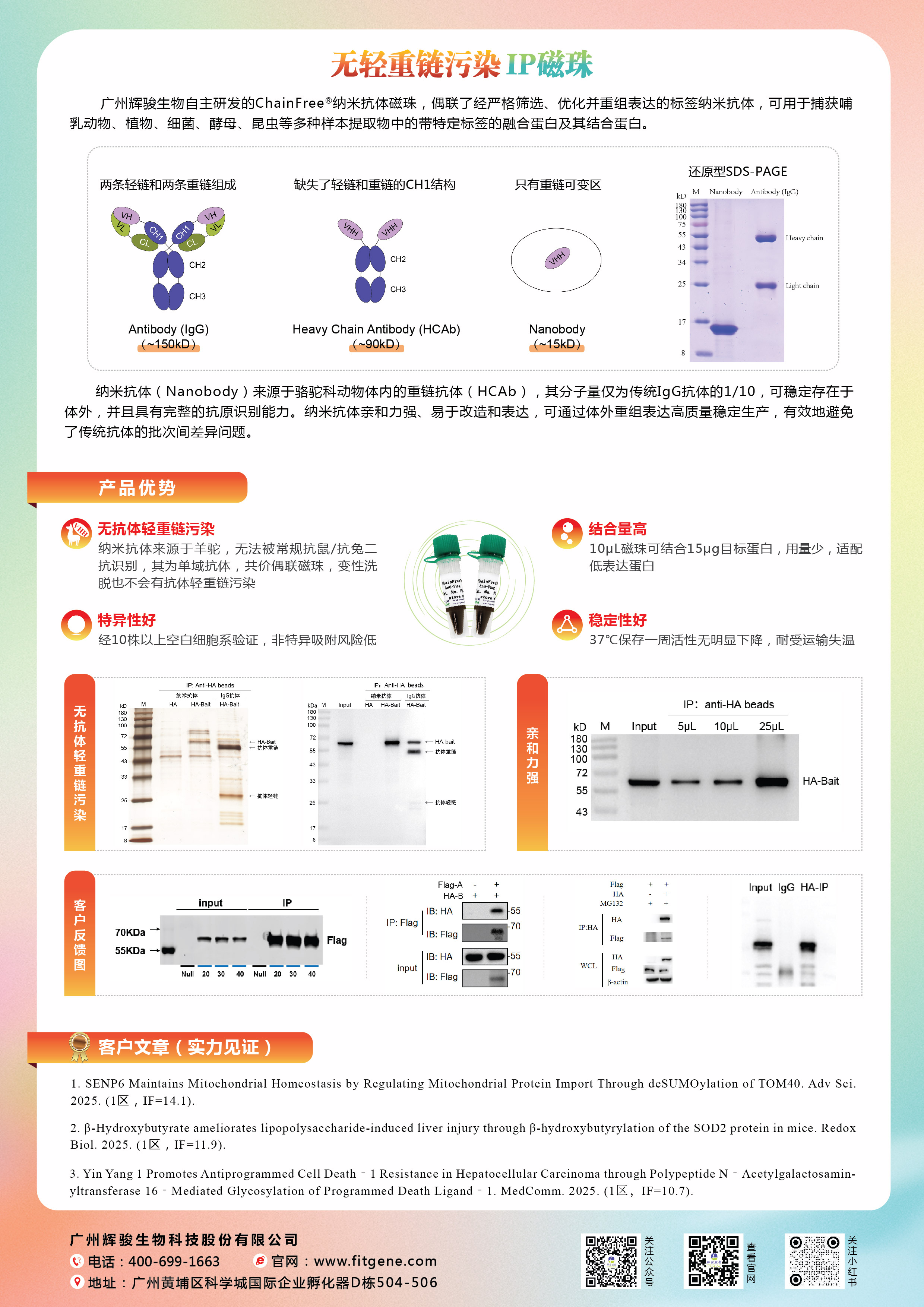 辉骏生物磁珠优惠价1490元/1ml,890元/500μL.jpg 辉骏生物磁珠优惠价1490元/1ml,890元/500μL.jpg