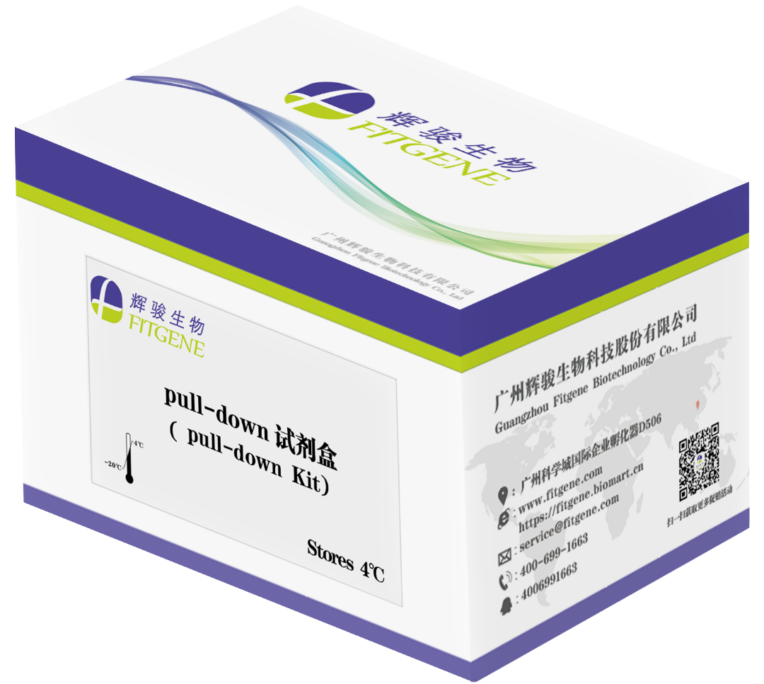 His pull down试剂盒.png