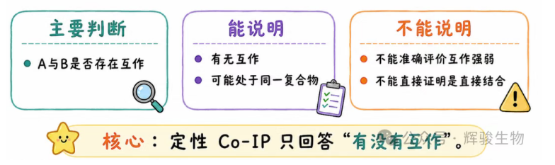 定性Co-IP的应用-辉骏生物.png