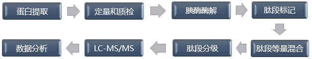 TMT技术流程-辉骏生物 TMT技术流程-辉骏生物