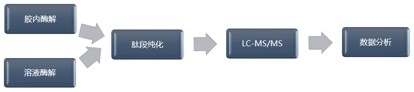 LC-MS技术流程-辉骏生物.png LC-MS技术流程-辉骏生物.png