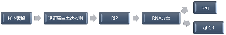 RIP技术流程.png RIP技术流程.png