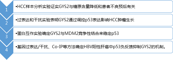 GST pulldown研究路线.png