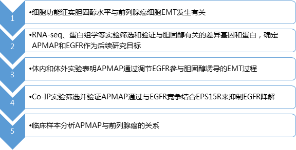 研究路线.jpg