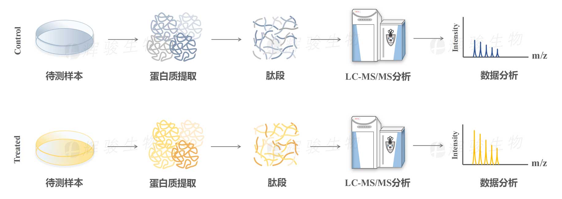 label free蛋白_label free技术服务价格_label free蛋白组学检测.jpg label free蛋白_label free技术服务价格_label free蛋白组学检测.jpg